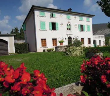 L'azienda agricola